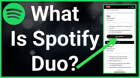 Spotify duo erfahrungen